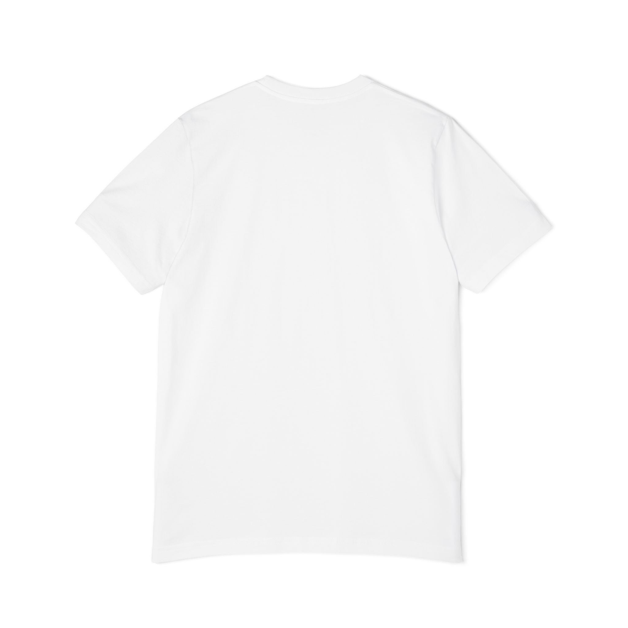 Legacy of the Brave Eagle T-Shirt — Patriotic USA Veteran Tribute